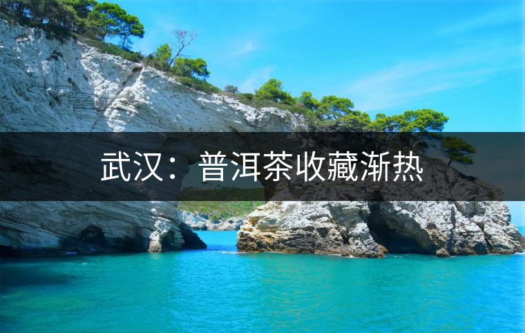 武漢：普洱茶收藏漸熱