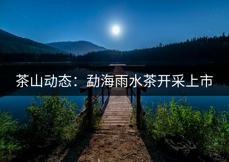 茶山動態(tài):勐海雨水茶開采上市 茶山動態(tài):勐海雨水茶開采上市