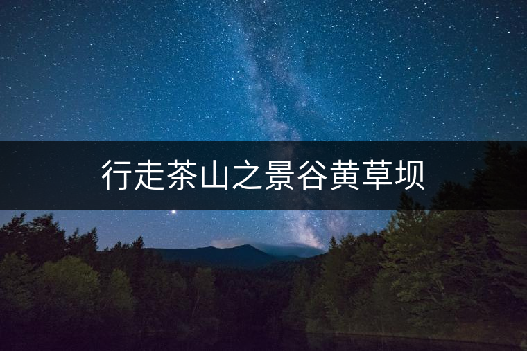 行走茶山之景谷黃草壩 行走茶山之景谷黃草壩