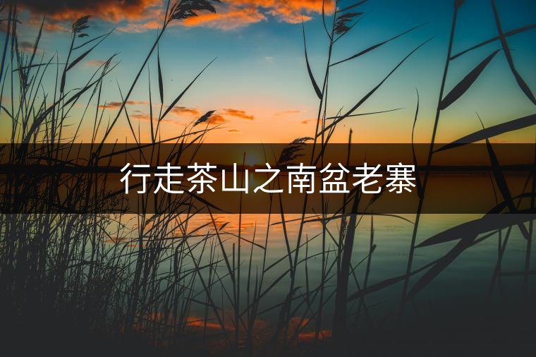 行走茶山之南盆老寨