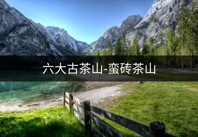 六大古茶山-蠻磚茶山 六大古茶山-蠻磚茶山