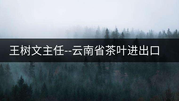 王樹(shù)文主任--云南省茶葉進(jìn)出口公司首任辦公室主任