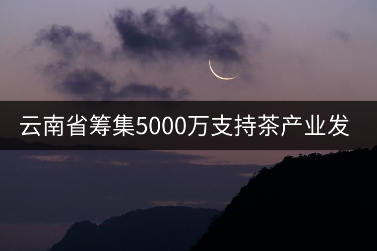 云南省籌集5000萬(wàn)支持茶產(chǎn)業(yè)發(fā)展 云南省籌集5000萬(wàn)支持茶產(chǎn)業(yè)發(fā)展