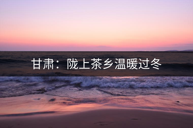 甘肅：隴上茶鄉(xiāng)溫暖過(guò)冬