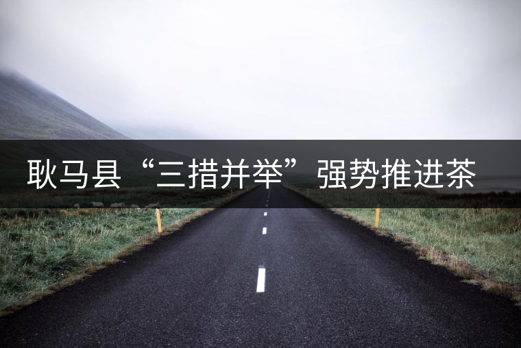 耿馬縣“三措并舉”強(qiáng)勢推進(jìn)茶葉產(chǎn)業(yè)的發(fā)展
