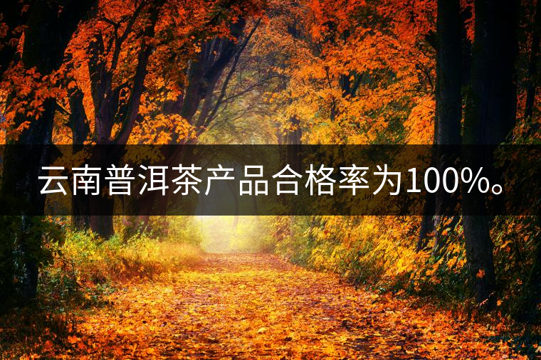 云南普洱茶產(chǎn)品合格率為100%。