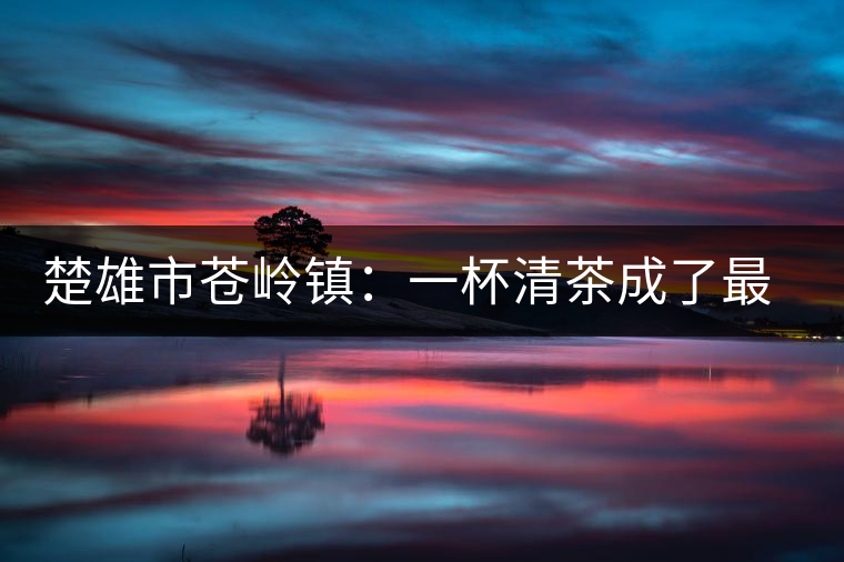 楚雄市蒼嶺鎮(zhèn):一杯清茶成了最奢侈的待客之物 楚雄市蒼嶺鎮(zhèn):一杯清茶成了最奢侈的待客之物