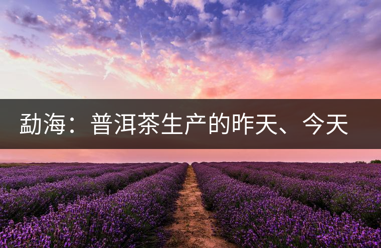 勐海：普洱茶生產(chǎn)的昨天、今天、明天