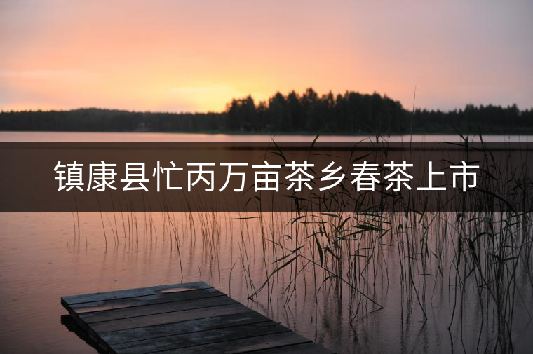 鎮(zhèn)康縣忙丙萬畝茶鄉(xiāng)春茶上市 鎮(zhèn)康縣忙丙萬畝茶鄉(xiāng)春茶上市