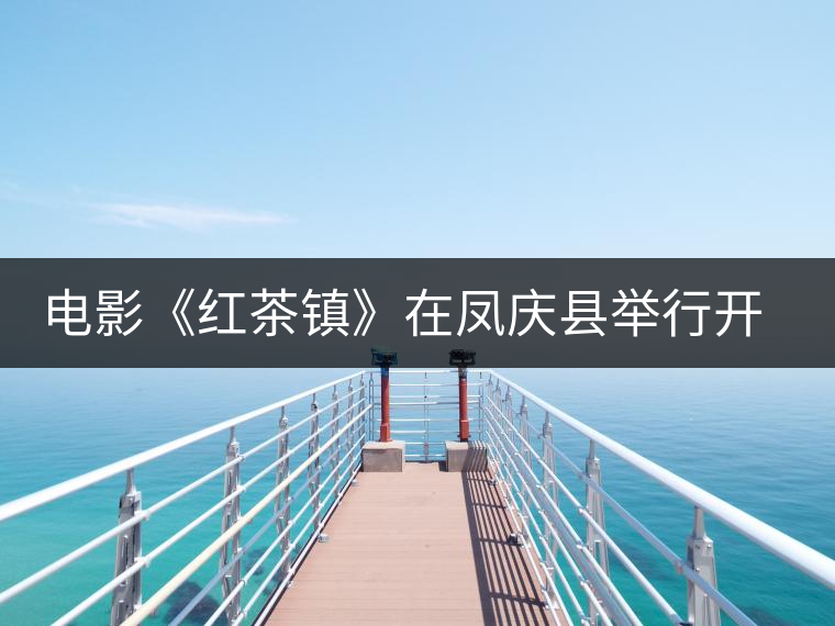 電影《紅茶鎮(zhèn)》在鳳慶縣舉行開機儀式