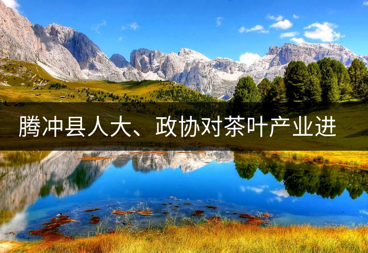 騰沖縣人大、政協(xié)對茶葉產(chǎn)業(yè)進(jìn)行視察