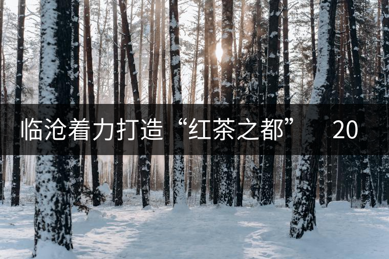 臨滄著力打造“紅茶之都”　2015年茶產(chǎn)業(yè)產(chǎn)值力爭達(dá)到50億元