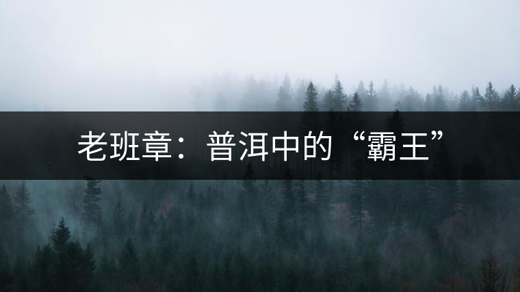 老班章:普洱中的“霸王” 老班章:普洱中的“霸王”