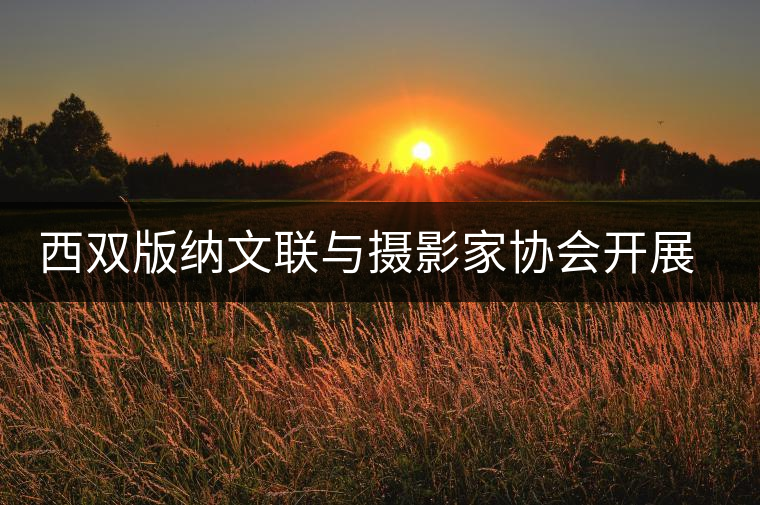 西雙版納文聯(lián)與攝影家協(xié)會開展走進賀開古茶山采風活動 西雙版納文聯(lián)與攝影家協(xié)會開展走進賀開古茶山采風活動