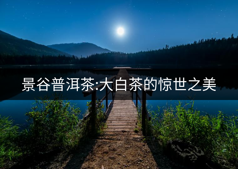 景谷普洱茶:大白茶的驚世之美 景谷普洱茶:大白茶的驚世之美