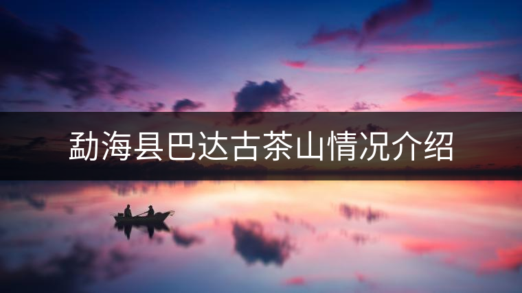 勐海縣巴達(dá)古茶山情況介紹 勐海縣巴達(dá)古茶山情況介紹