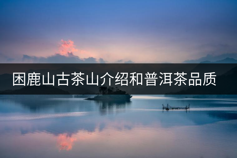 困鹿山古茶山介紹和普洱茶品質特色