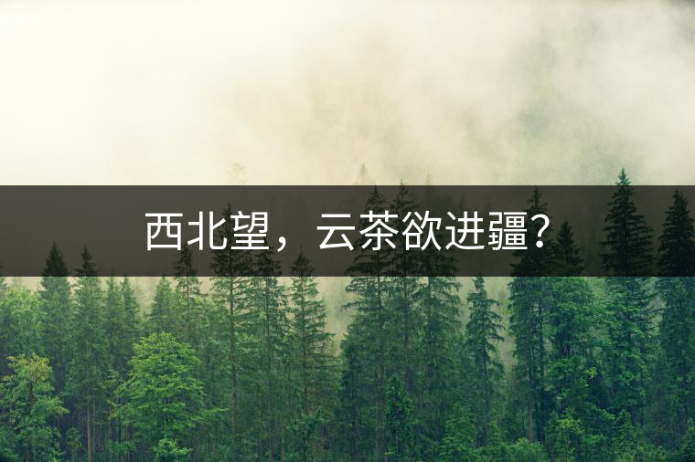 西北望，云茶欲進疆？