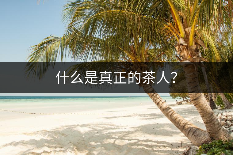 什么是真正的茶人？