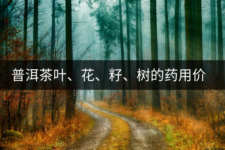 普洱茶葉、花、籽、樹的藥用價值