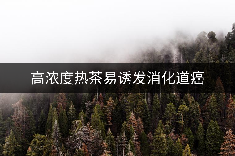 高濃度熱茶易誘發(fā)消化道癌