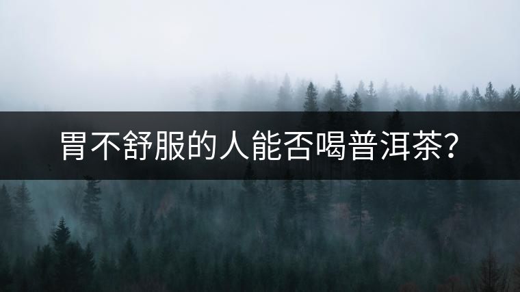 胃不舒服的人能否喝普洱茶？