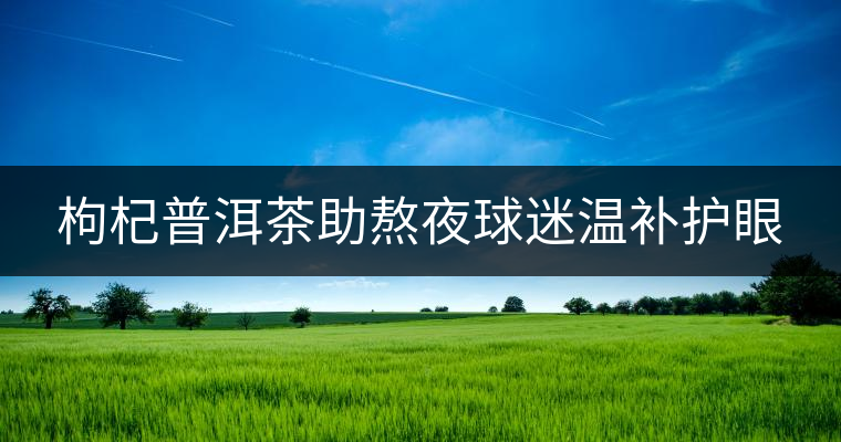 枸杞普洱茶助熬夜球迷溫補護眼 枸杞普洱茶助熬夜球迷溫補護眼