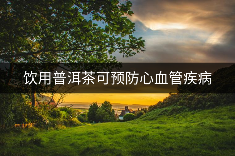 飲用普洱茶可預(yù)防心血管疾病 飲用普洱茶可預(yù)防心血管疾病