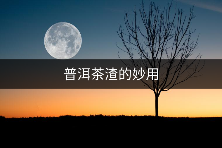 普洱茶渣的妙用 普洱茶渣的妙用