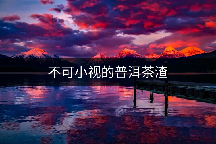 不可小視的普洱茶渣