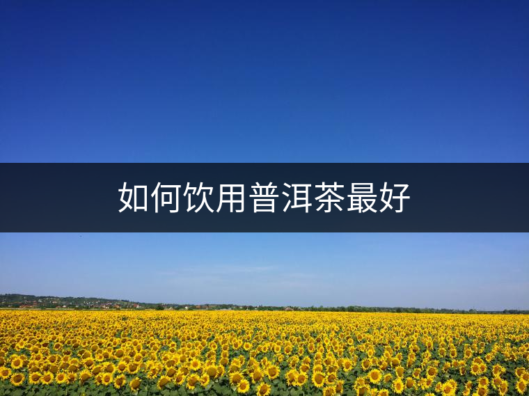 如何飲用普洱茶最好