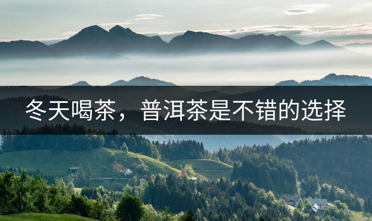 冬天喝茶，普洱茶是不錯的選擇