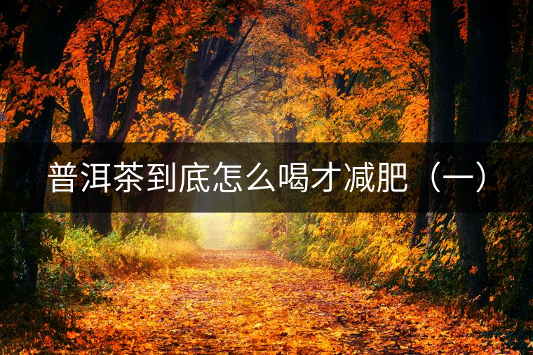 普洱茶到底怎么喝才減肥(一) 普洱茶到底怎么喝才減肥(一)