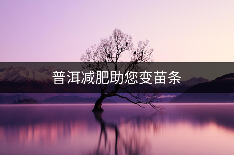 普洱減肥助您變苗條