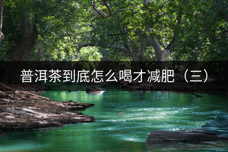 普洱茶到底怎么喝才減肥(三) 普洱茶到底怎么喝才減肥(三)