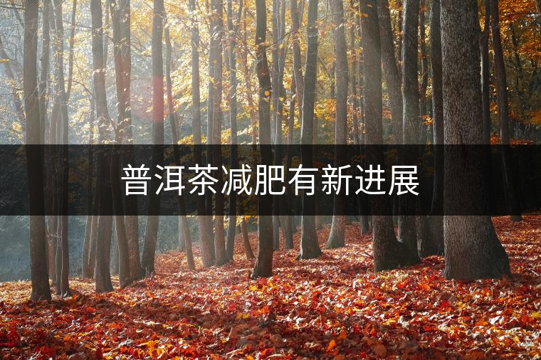 普洱茶減肥有新進展 普洱茶減肥有新進展
