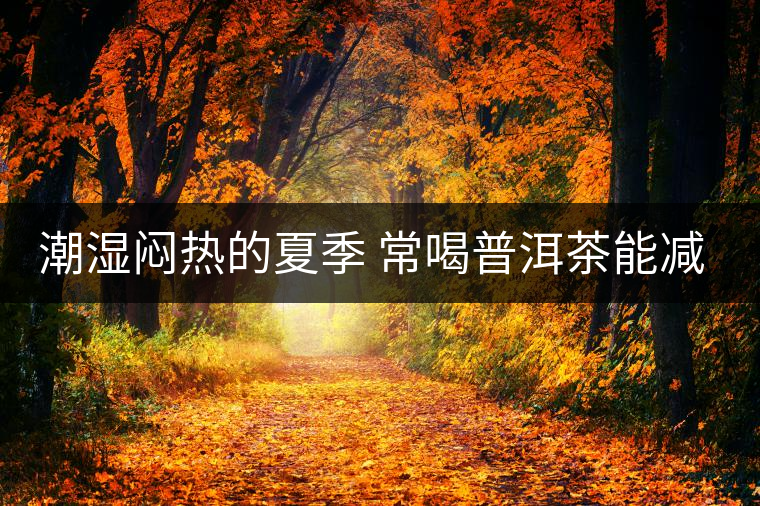潮濕悶熱的夏季 常喝普洱茶能減肥 潮濕悶熱的夏季 常喝普洱茶能減肥