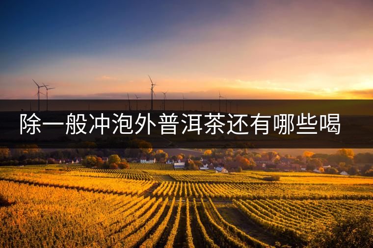 除一般沖泡外普洱茶還有哪些喝法？