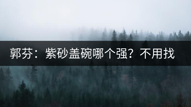 郭芬：紫砂蓋碗哪個(gè)強(qiáng)？不用找藍(lán)翔
