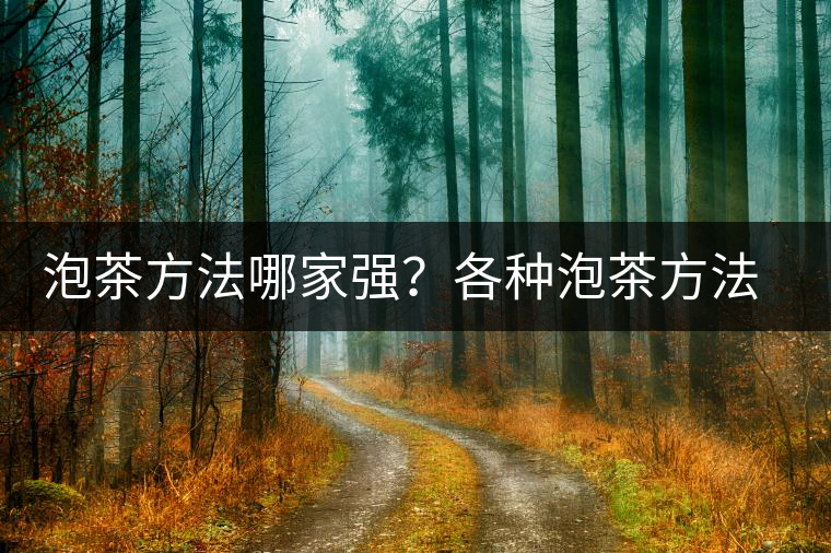泡茶方法哪家強(qiáng)？各種泡茶方法介紹