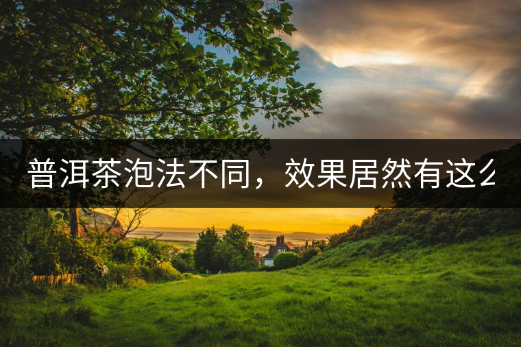 普洱茶泡法不同，效果居然有這么大區(qū)別！