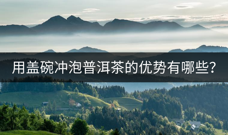 用蓋碗沖泡普洱茶的優(yōu)勢有哪些？