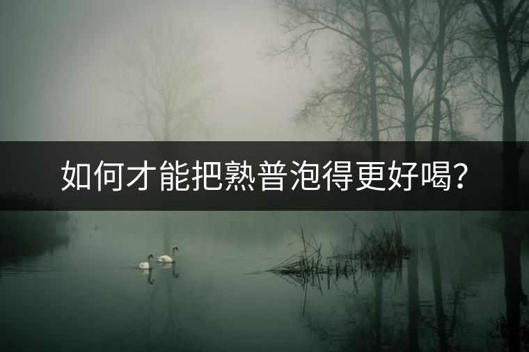 如何才能把熟普泡得更好喝？