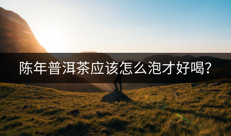 陳年普洱茶應(yīng)該怎么泡才好喝？