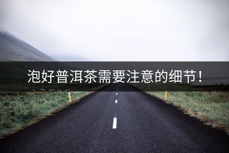 泡好普洱茶需要注意的細(xì)節(jié)！