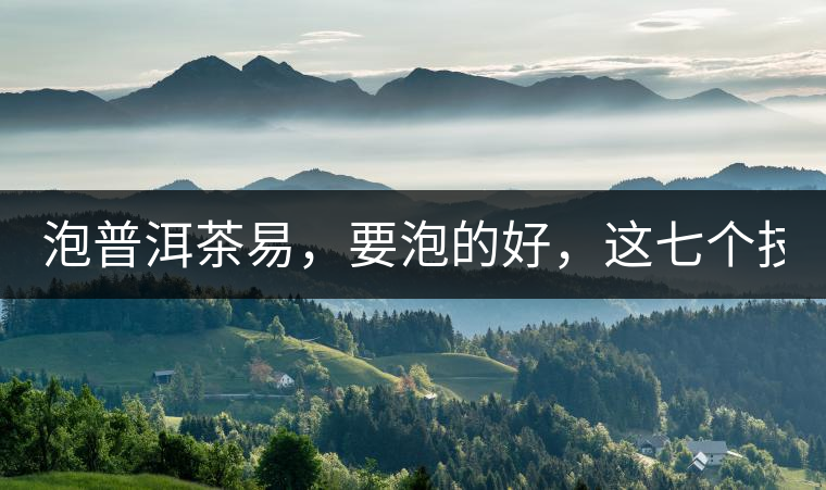 泡普洱茶易，要泡的好，這七個(gè)技巧很重要！
