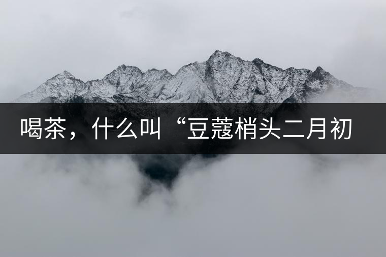 喝茶，什么叫“豆蔻梢頭二月初”？