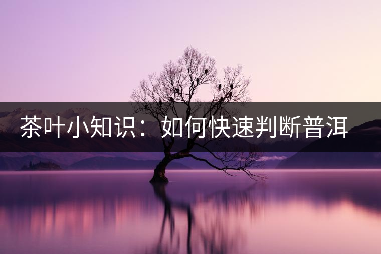 茶葉小知識(shí)：如何快速判斷普洱茶品級(jí)高低？