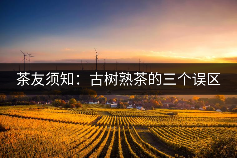 茶友須知：古樹熟茶的三個誤區(qū)
