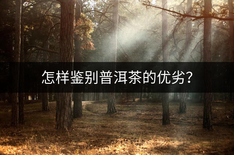 怎樣鑒別普洱茶的優(yōu)劣？